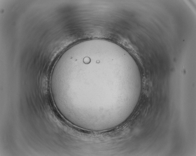 X0000087390012200704271634