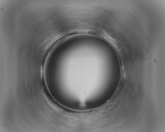 X0000087390013200704271633