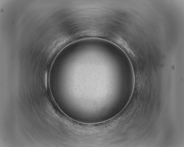 X0000087390014200704271633