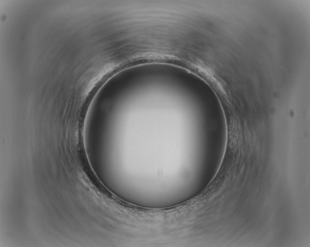 X0000087390015200704271633