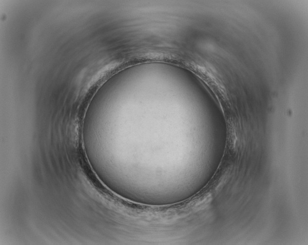 X0000087390016200704271633