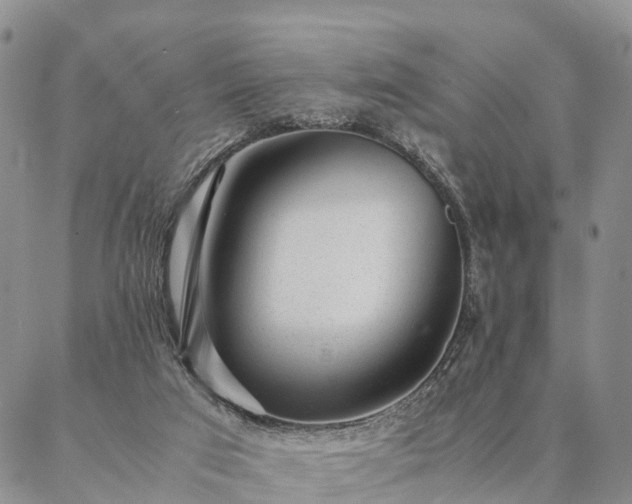 X0000087390017200704271633