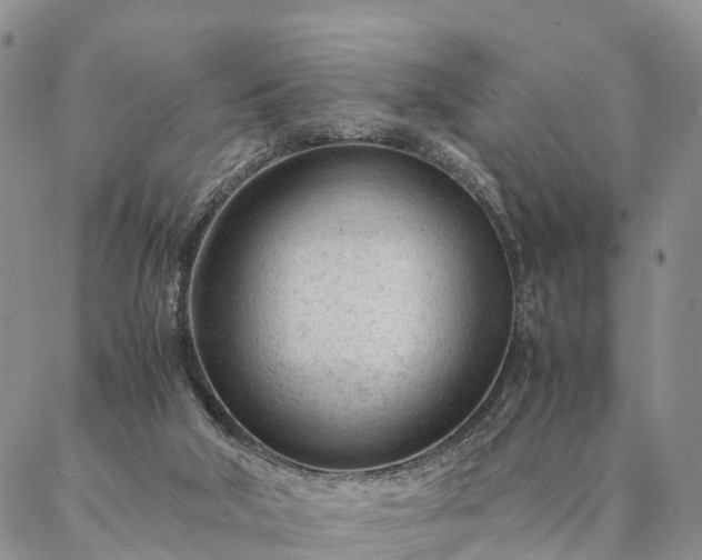 X0000087390018200704271633