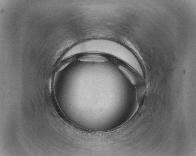 X0000087390019200704271633