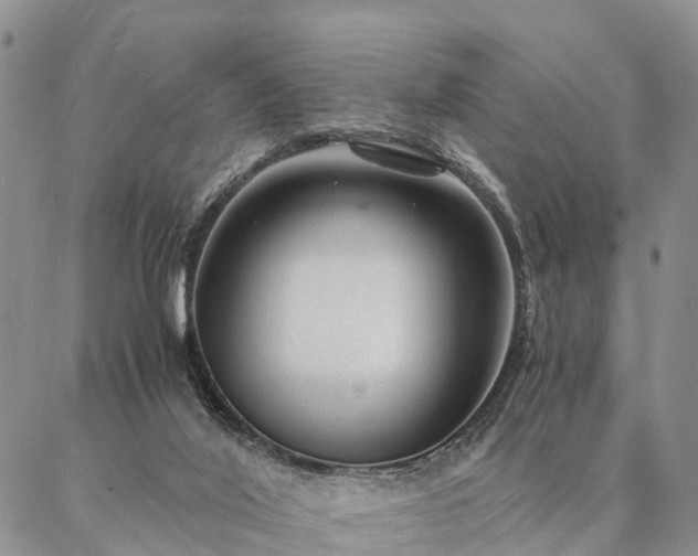 X0000087390020200704271633