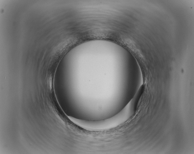 X0000087390021200704271633