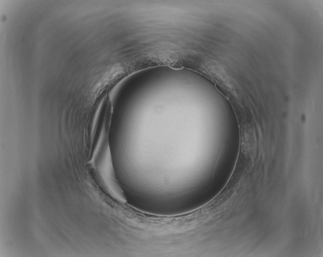 X0000087390023200704271633