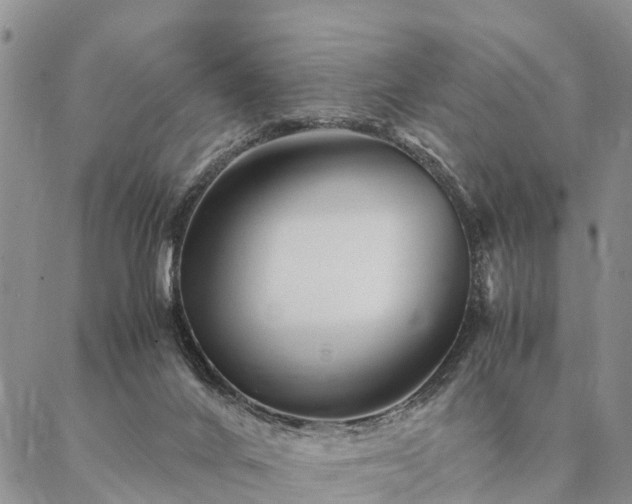 X0000087390024200704271633