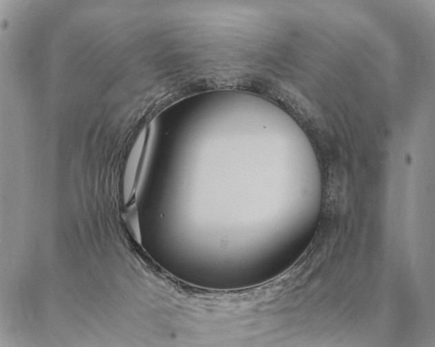 X0000087390025200704271633