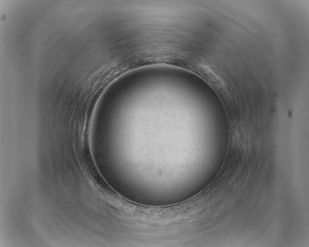 X0000087390026200704271633