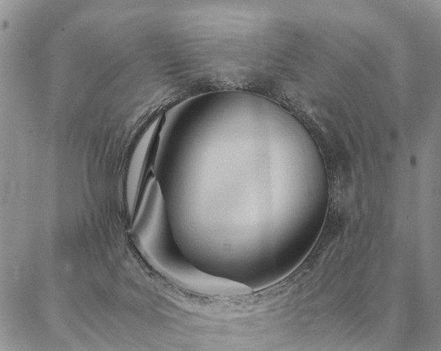 X0000087390027200704271633