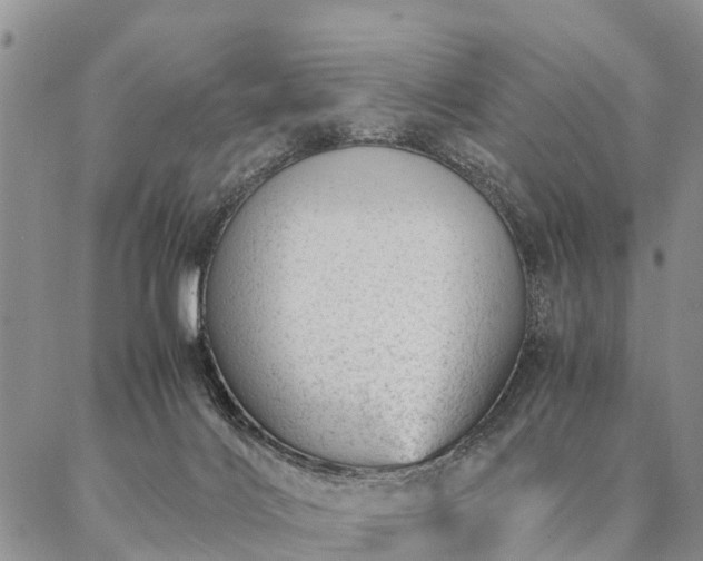 X0000087390028200704271633