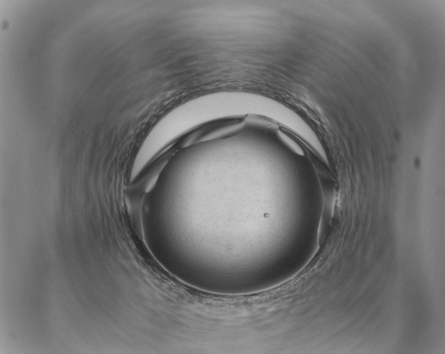 X0000087390029200704271633