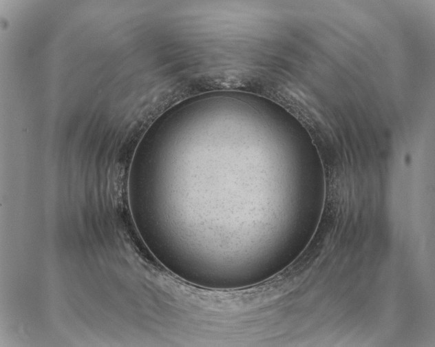 X0000087390030200704271633