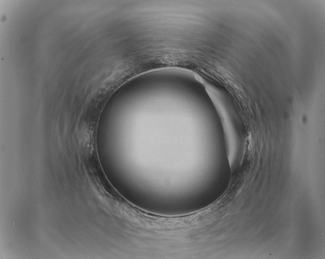 X0000087390031200704271633