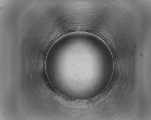 X0000087390032200704271633