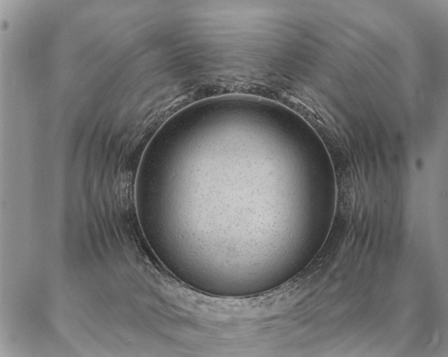 X0000087390034200704271633