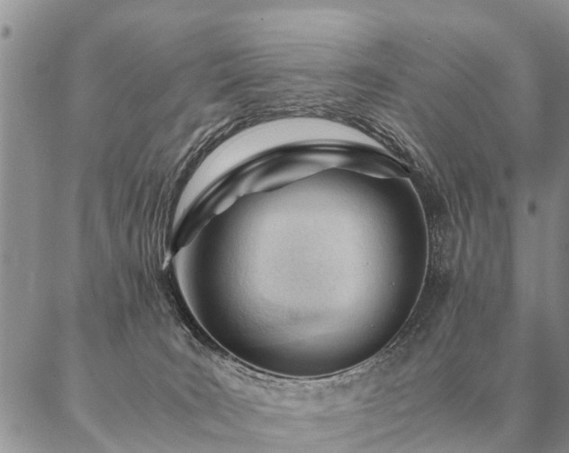 X0000087390035200704271633