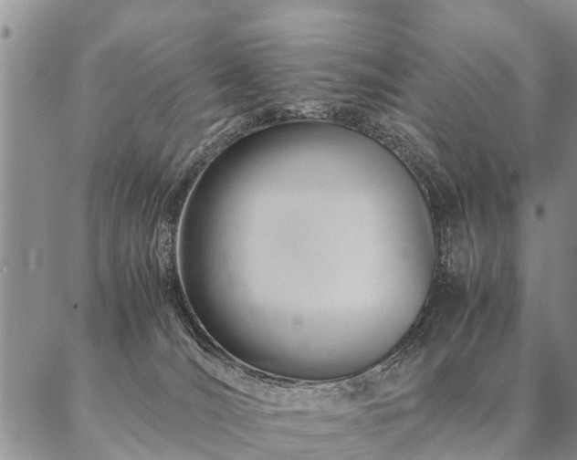 X0000087390036200704271633