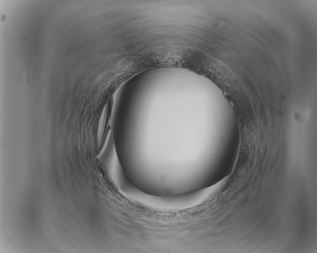 X0000087390037200704271633