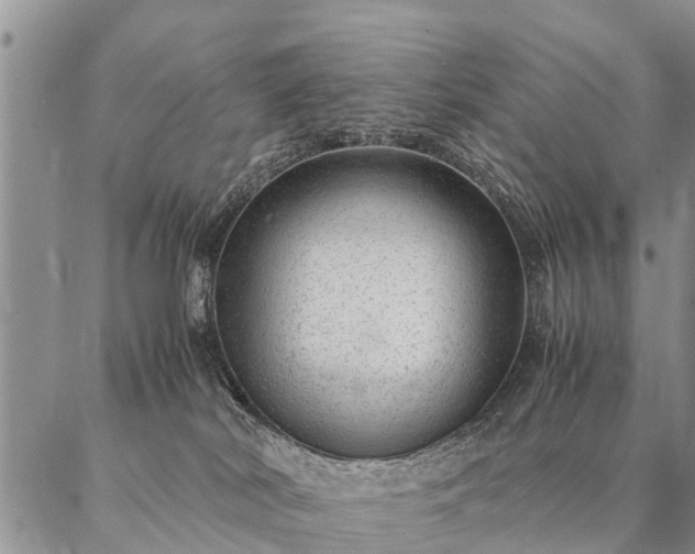 X0000087390038200704271633