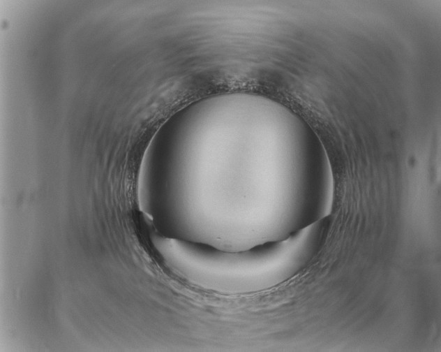 X0000087390039200704271633