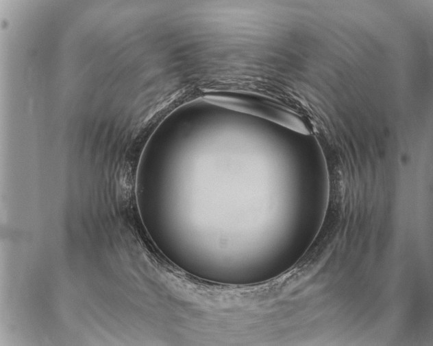 X0000087390040200704271633