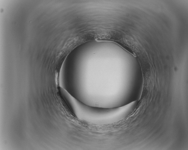 X0000087390041200704271633