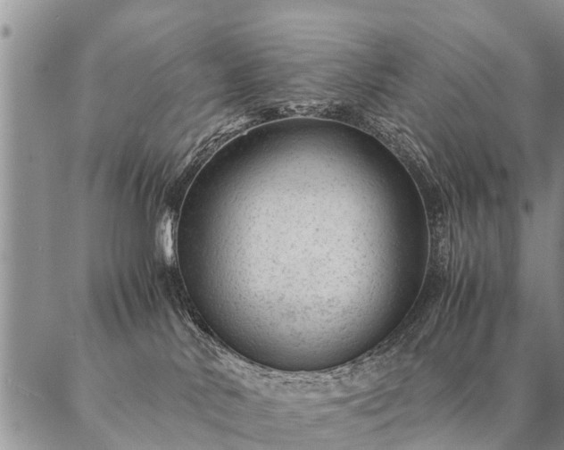 X0000087390042200704271633