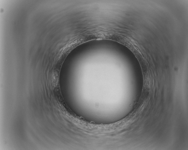 X0000087390043200704271633