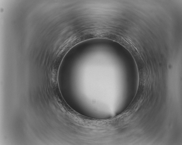 X0000087390044200704271633