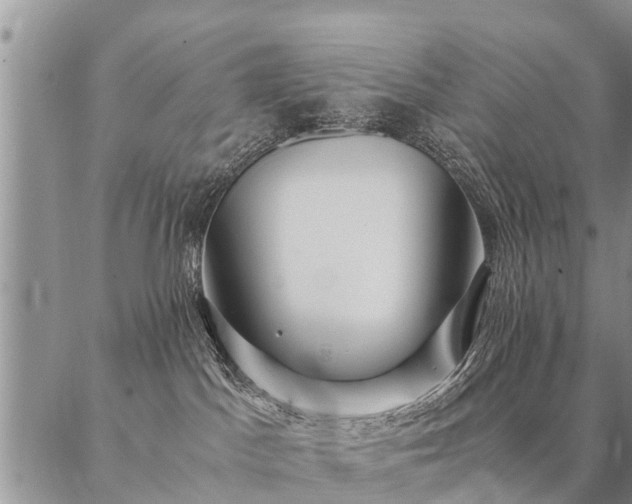 X0000087390045200704271633