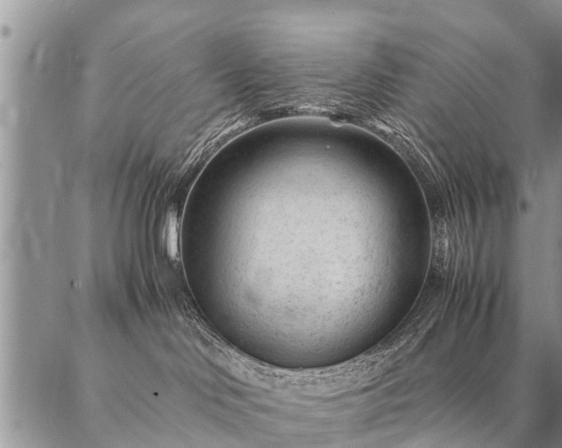 X0000087390046200704271633