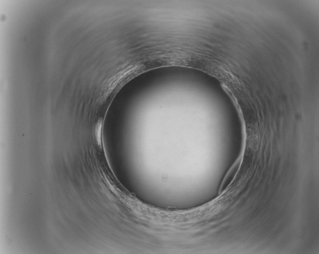 X0000087390047200704271633