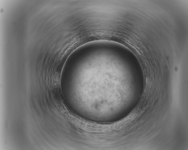 X0000087390048200704271633