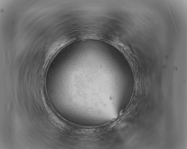 X0000087390049200704271632