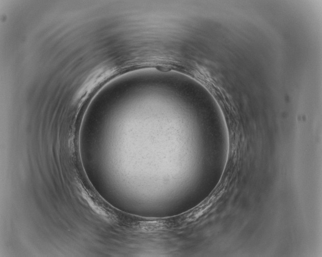 X0000087390050200704271632