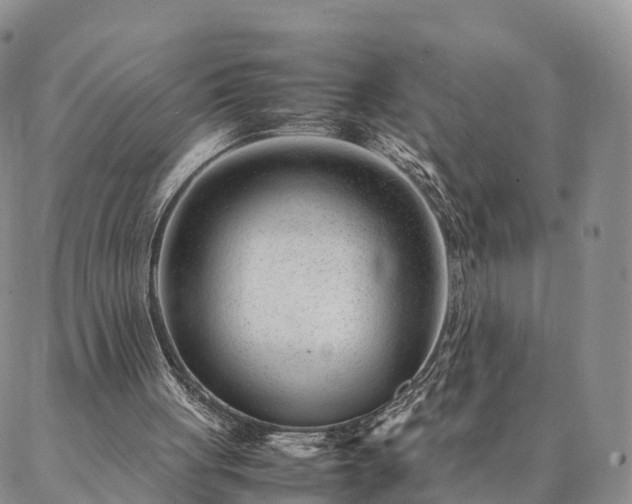 X0000087390051200704271632