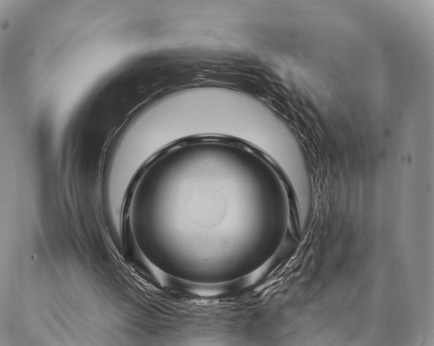 X0000087390052200704271632