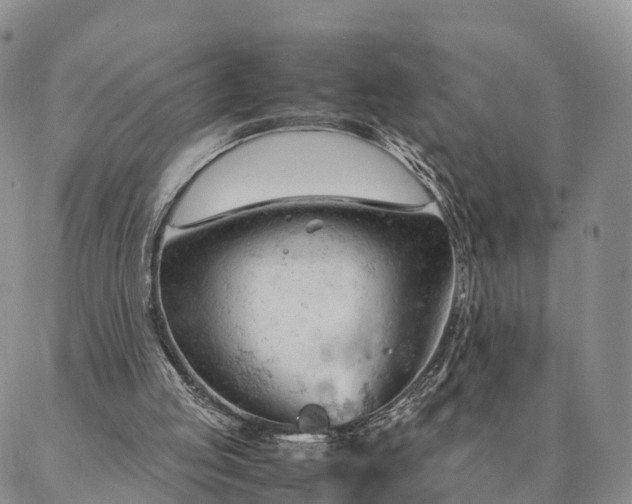 X0000087390053200704271632