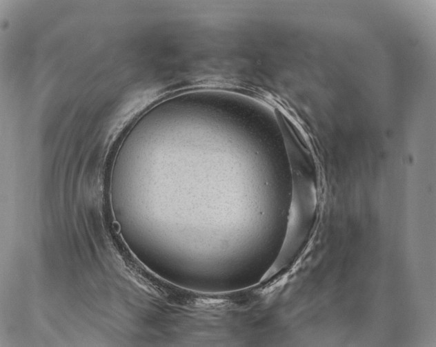 X0000087390055200704271632