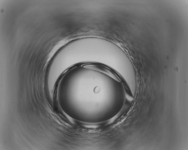 X0000087390056200704271632