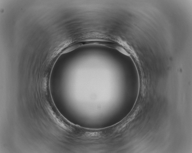 X0000087390057200704271632