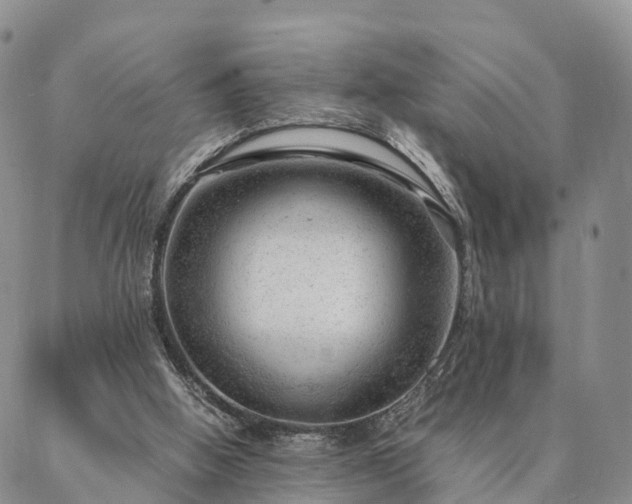 X0000087390058200704271632