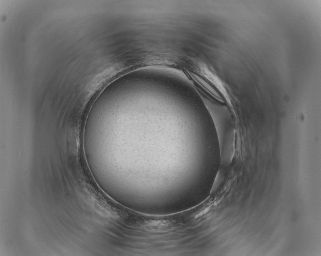 X0000087390059200704271632