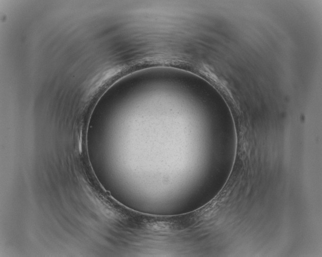 X0000087390062200704271632