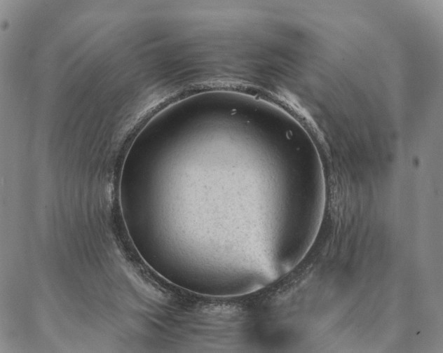 X0000087390063200704271632