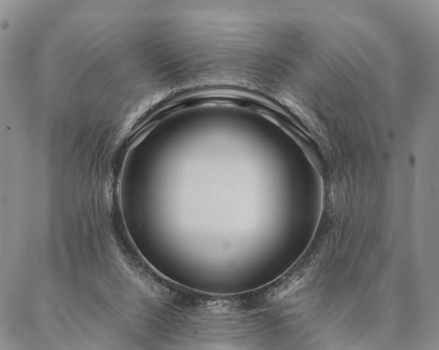 X0000087390064200704271632