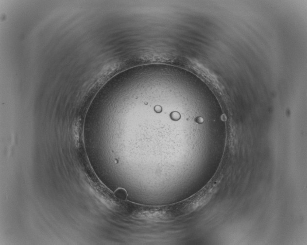 X0000087390065200704271632