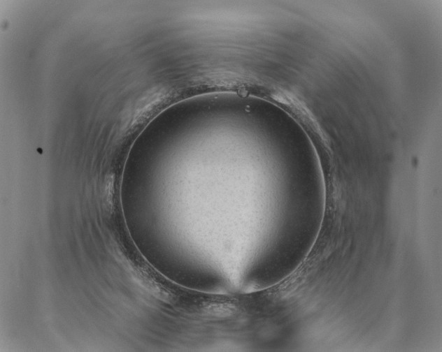 X0000087390066200704271632